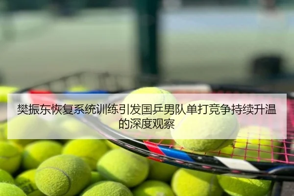 樊振东恢复系统训练引发国乒男队单打竞争持续升温的深度观察